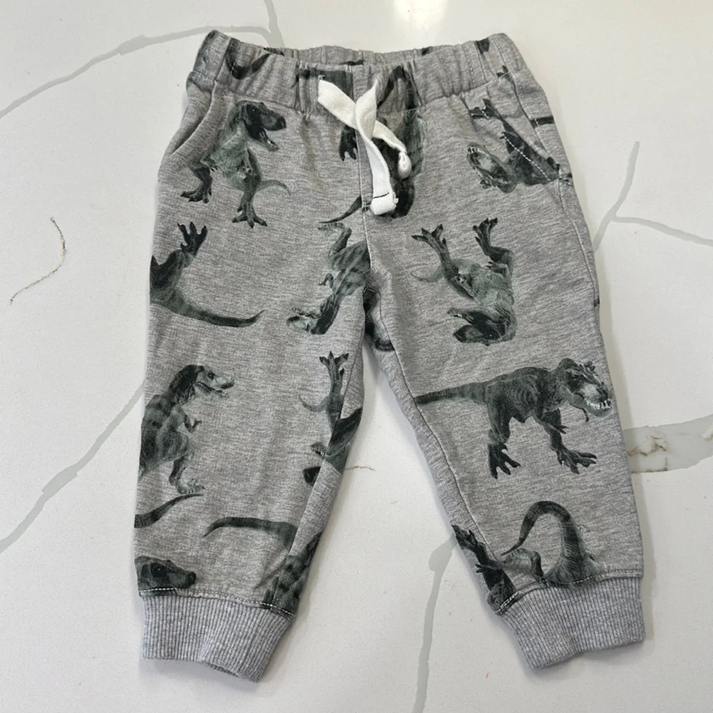 Carter’s gray t-Rex dinosaur jogger sweatpants size 12 months 🦖